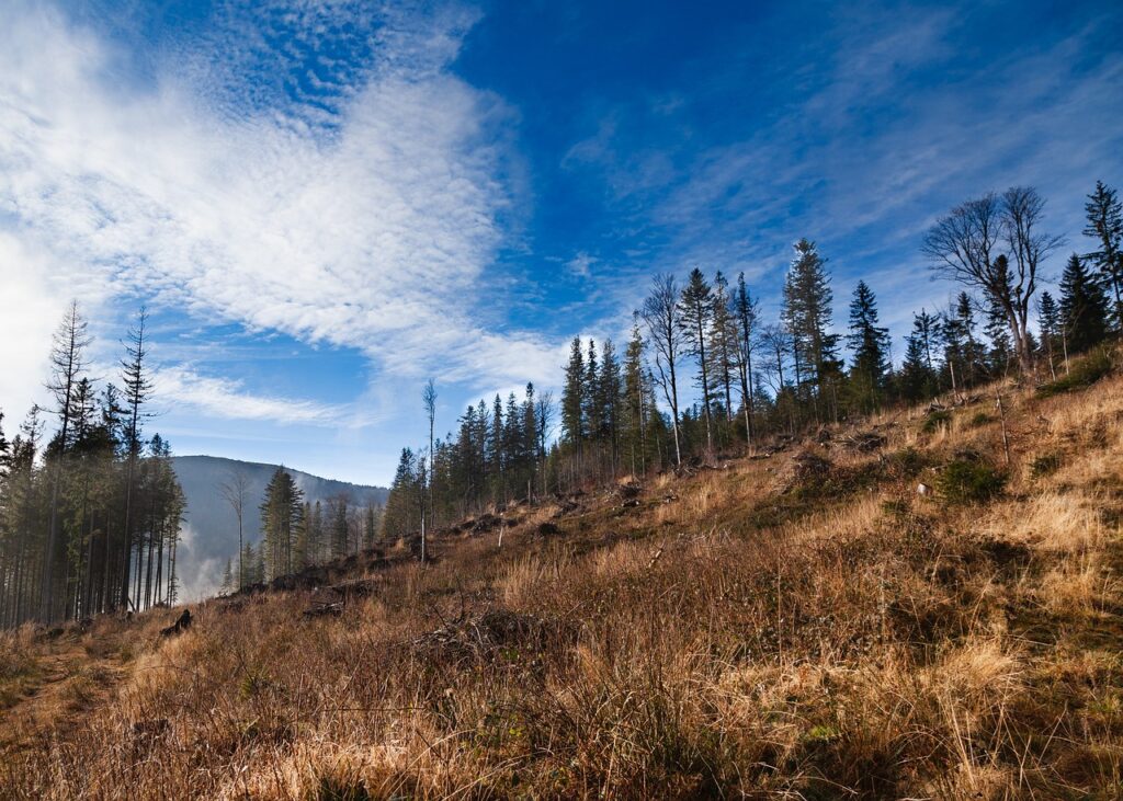 pilsko, beskidy, beskids