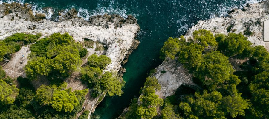 aerial view of green trees and body of water during daytime