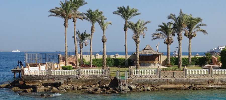 Hurghada Sea Palm Trees Egypt  - Priidi / Pixabay