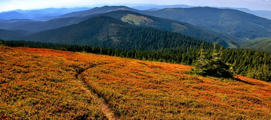Nature Travel Exploration Hills  - JerzyGorecki / Pixabay